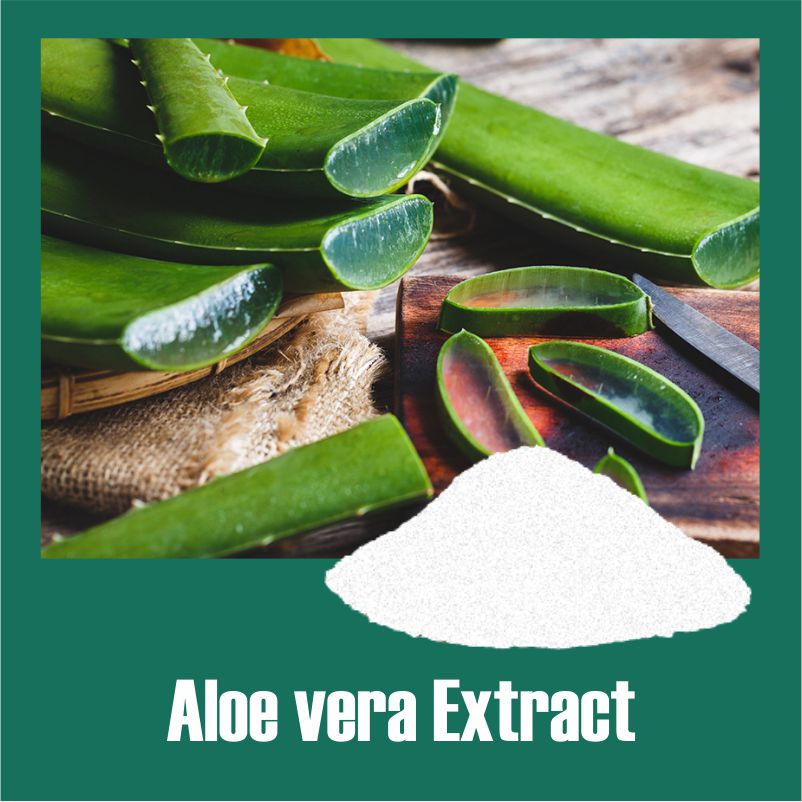 Aloe Barbadensis Extract Standardized Botanical Extracts Manufacturer 5247