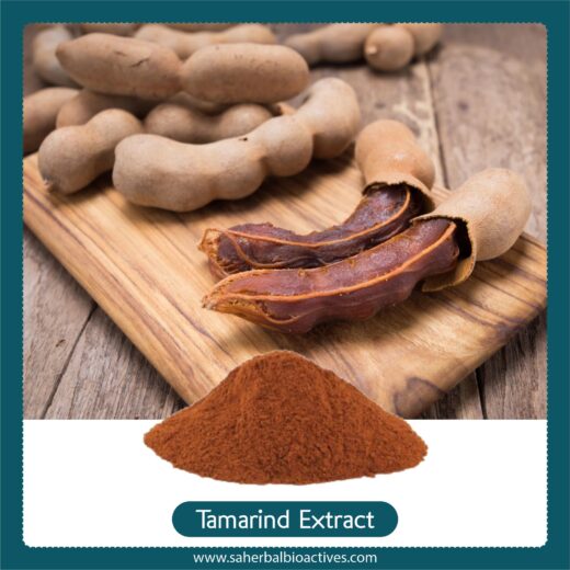 Tamarindus Indica Extract - SA Herbal Bioactives