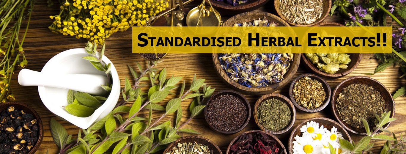 Herbal extract manufacturers